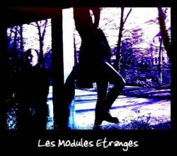 Les Modules Etranges : Promo 2008